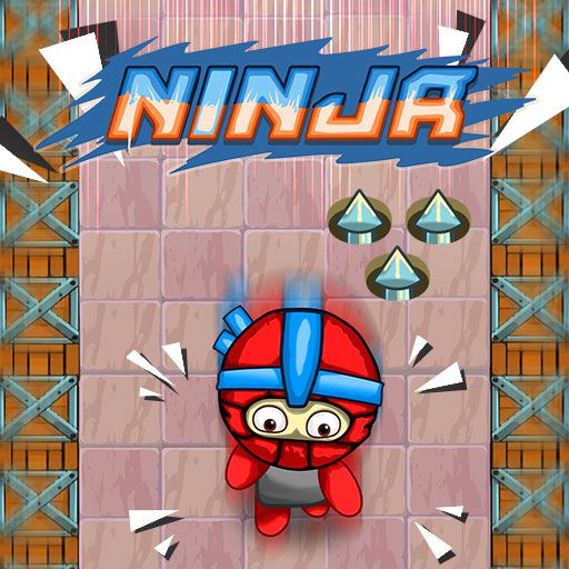 ninja-4