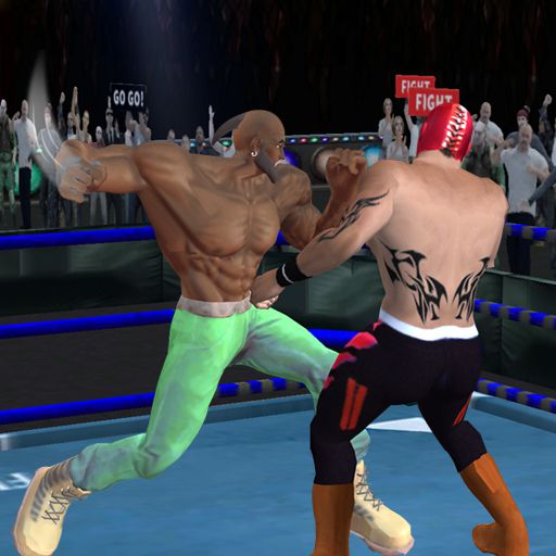 real-boxing-fighting-game